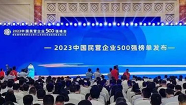 海王集團位列2023中國民營企業500強第203位、2023中國製造業民營企業500強第139位